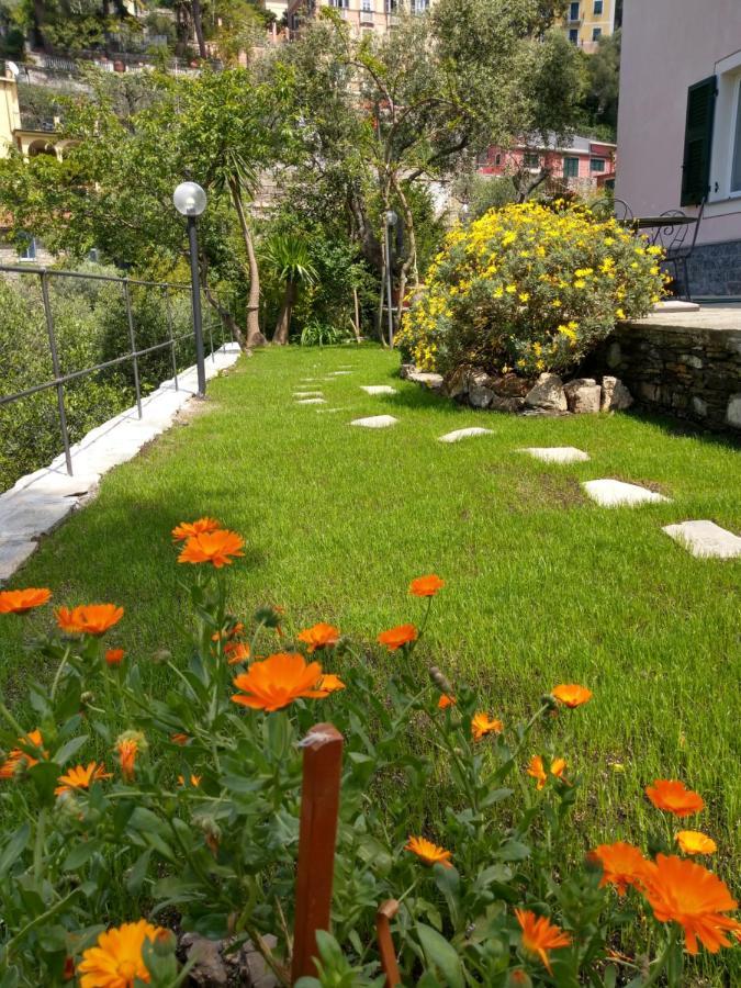 Villino Brunetto Azienda Agrituristica كامولّي المظهر الخارجي الصورة