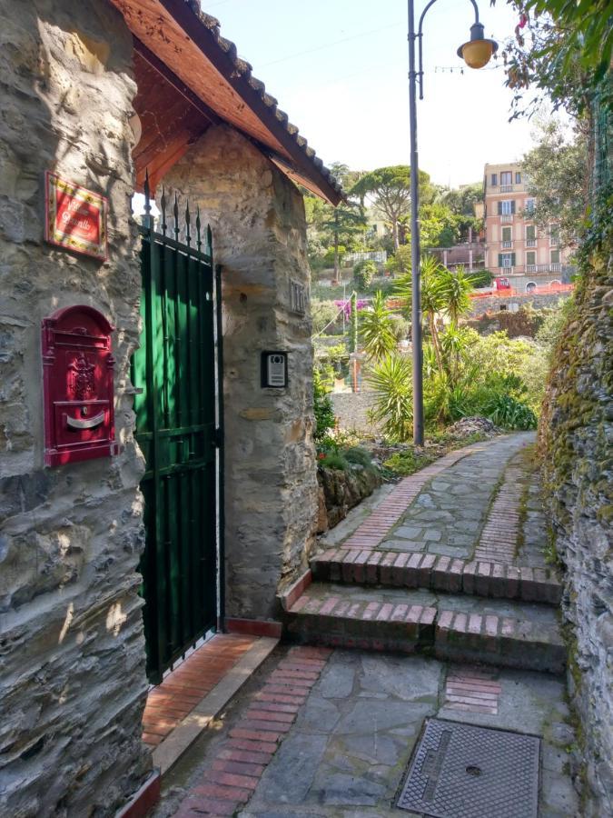 Villino Brunetto Azienda Agrituristica كامولّي المظهر الخارجي الصورة
