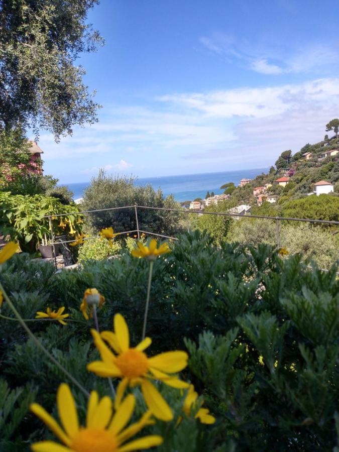 Villino Brunetto Azienda Agrituristica كامولّي المظهر الخارجي الصورة