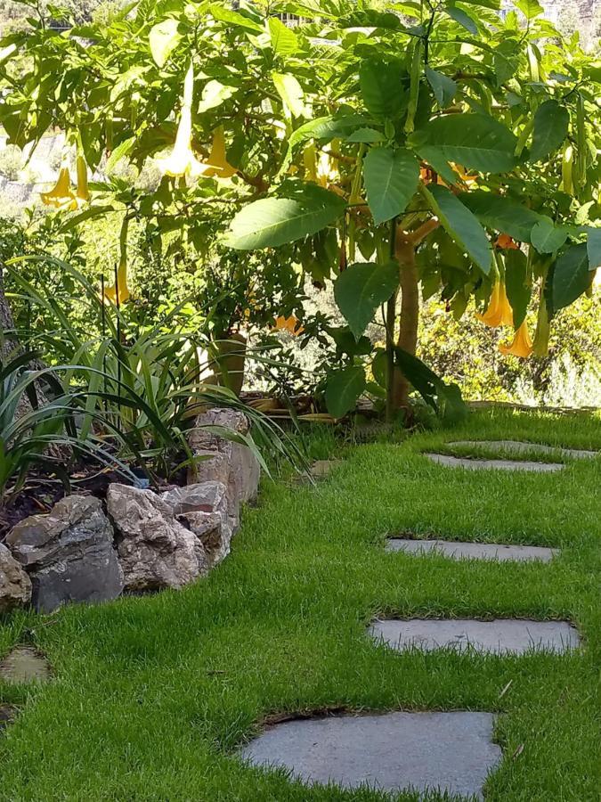 Villino Brunetto Azienda Agrituristica كامولّي المظهر الخارجي الصورة