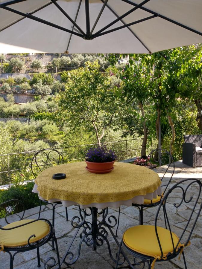 Villino Brunetto Azienda Agrituristica كامولّي المظهر الخارجي الصورة