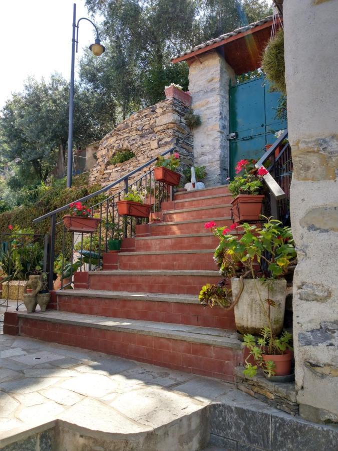 Villino Brunetto Azienda Agrituristica كامولّي المظهر الخارجي الصورة
